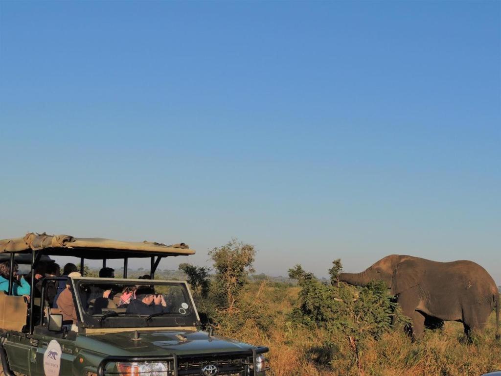 Croc Orvyll'S Kruger Lodge Marloth Park Ngoại thất bức ảnh