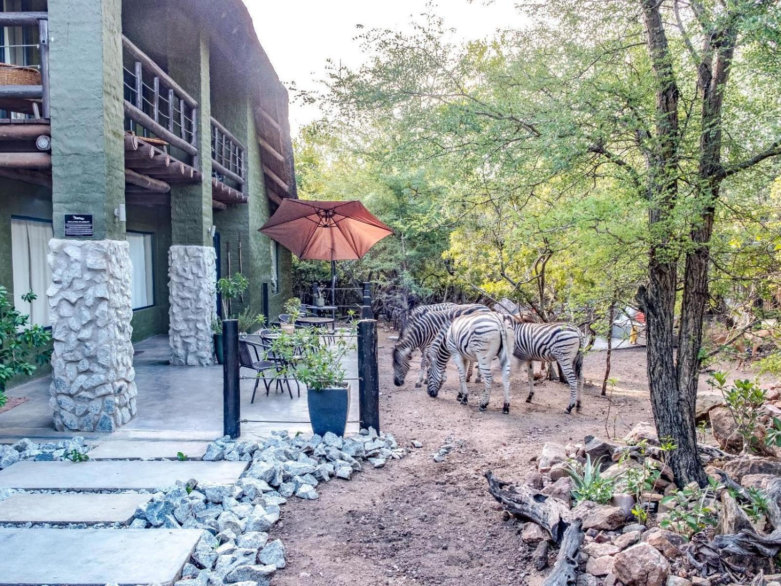Croc Orvyll'S Kruger Lodge Marloth Park Ngoại thất bức ảnh