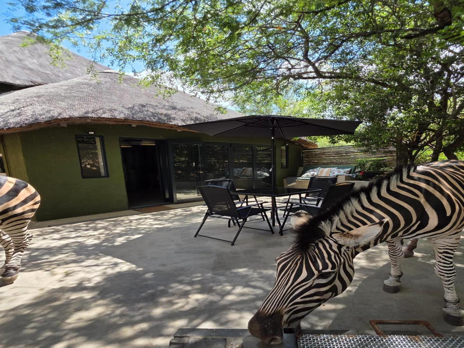 Croc Orvyll'S Kruger Lodge Marloth Park Ngoại thất bức ảnh